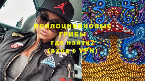 эйфоретик Абинск