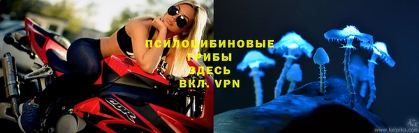 mix Абаза