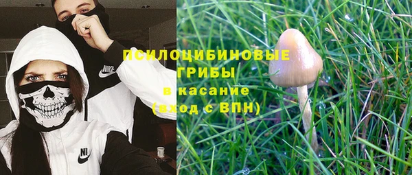 твердый Алексеевка