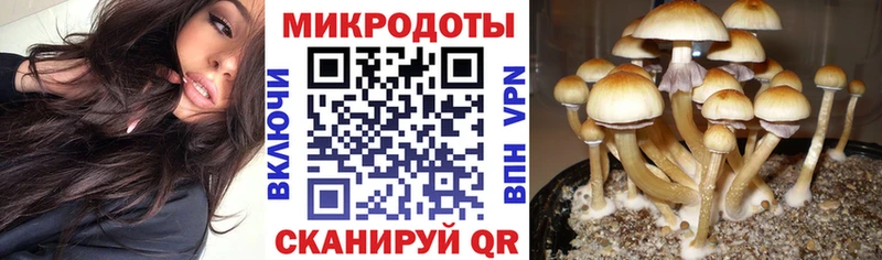 Галлюциногенные грибы Magic Shrooms  что такое наркотик  Ряжск 